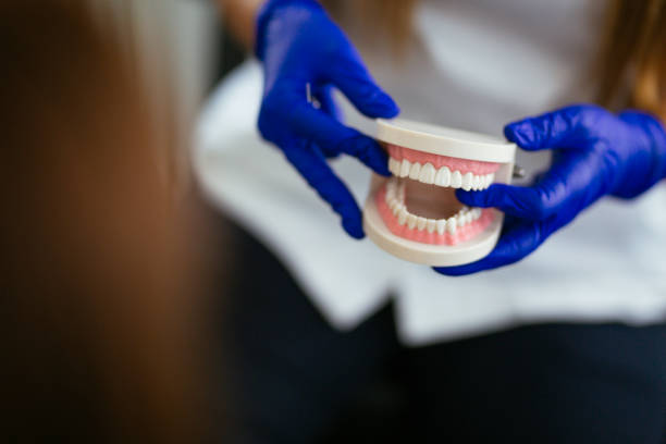 Emergency Dental Services in St Augustine Shores, FL
