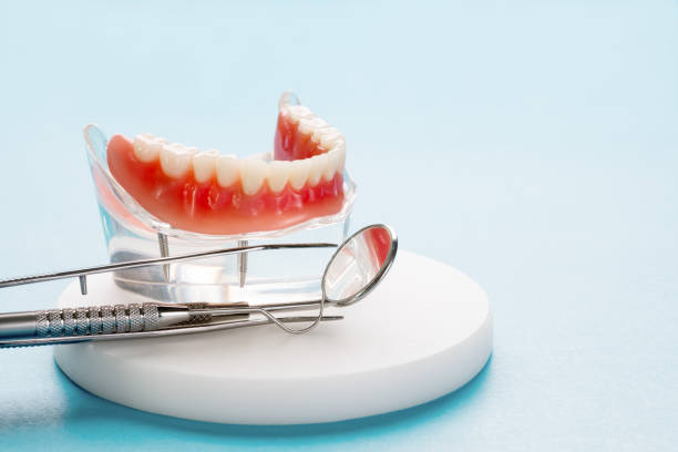 Professional Holistic Dental Care Services in St Augustine Shores, FL